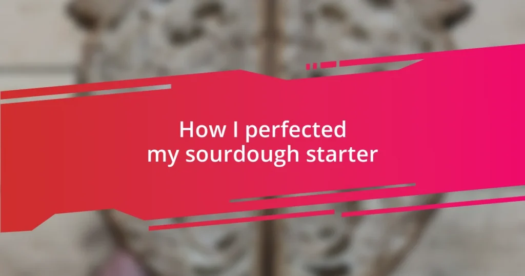 How I perfected my sourdough starter